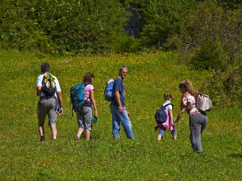 Wandern_im_Gruenen_Ahrntaler_Sonnenwege__c_Gorfer__Tourismusverein_Ahrntal_ (1)