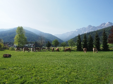 (c) Hotel Post - Tolderhof - Villa Prugger